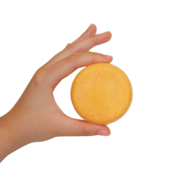 Shampoo De Mango 100g